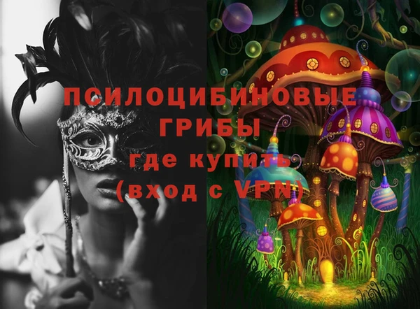 ешки Алзамай