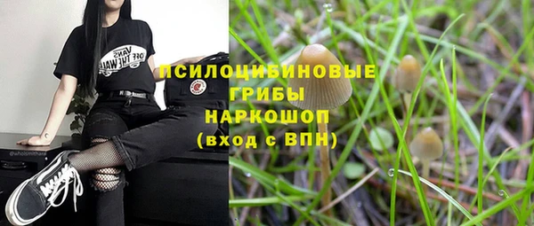 амфетамин Алексеевка