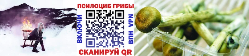 Галлюциногенные грибы прущие грибы  Ивангород 