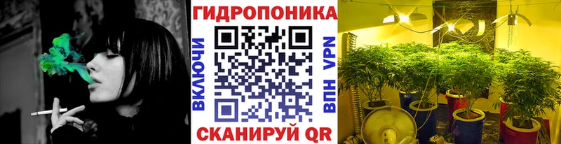 Марихуана ГИДРОПОН  Ивангород 